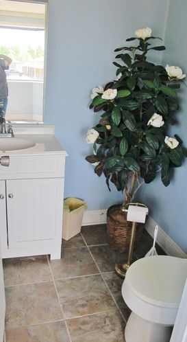 538 Dawson Rd, Princeton, KY 42445
